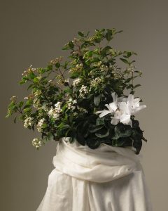 Coupe de plantes Eden végétal