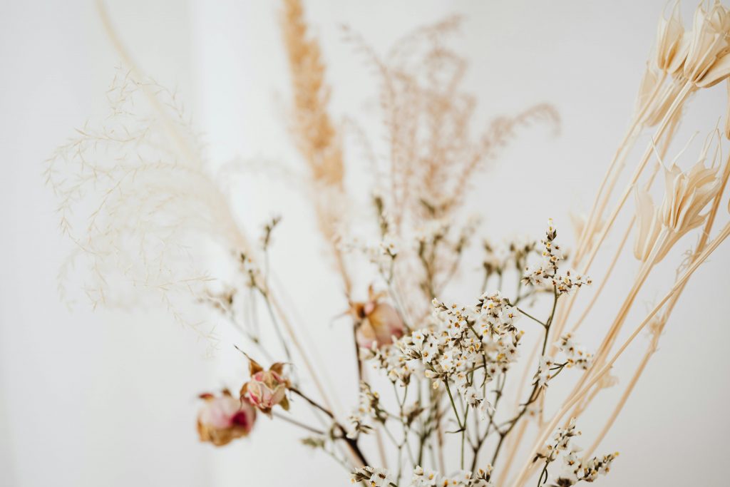 A close-up view of a delicate dried floral arrangement perfect for minimalist interiors.
