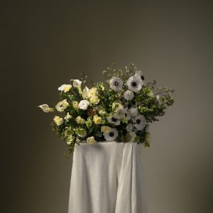 Le vent du nord