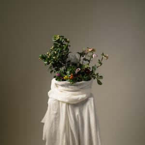 Le petit jardin