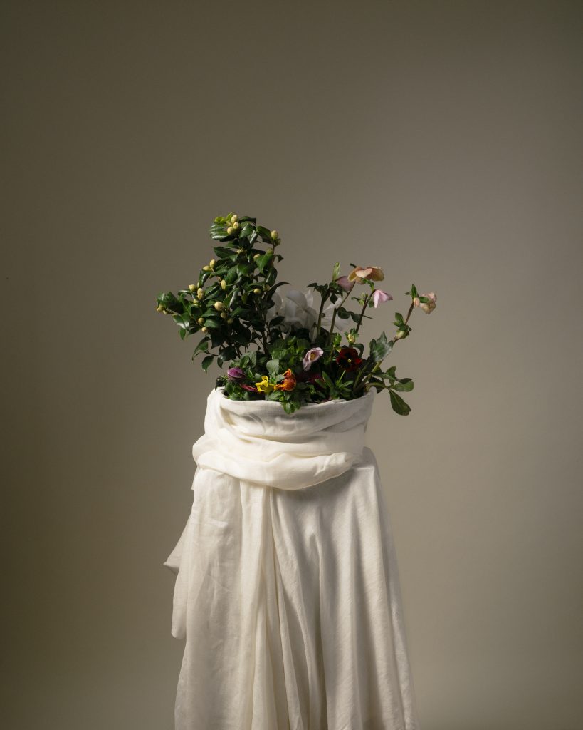 Le petit jardin