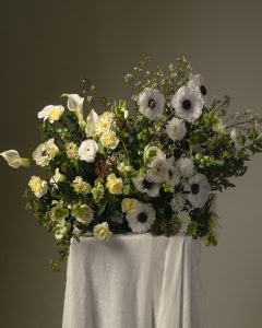 Coussin Le vent du nord