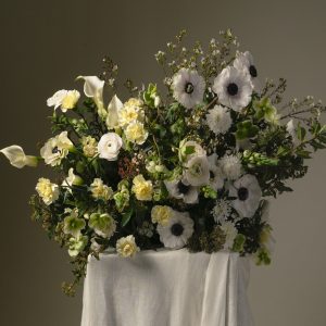 Coussin Le vent du nord