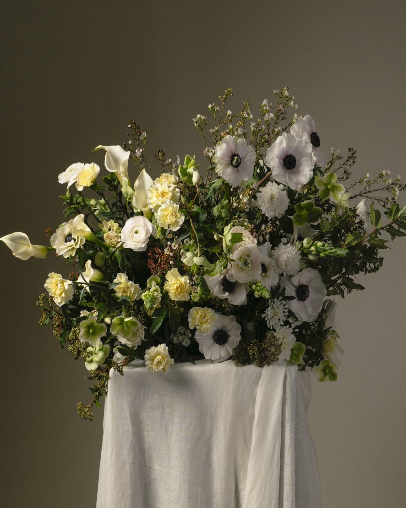 Coussin Le vent du nord