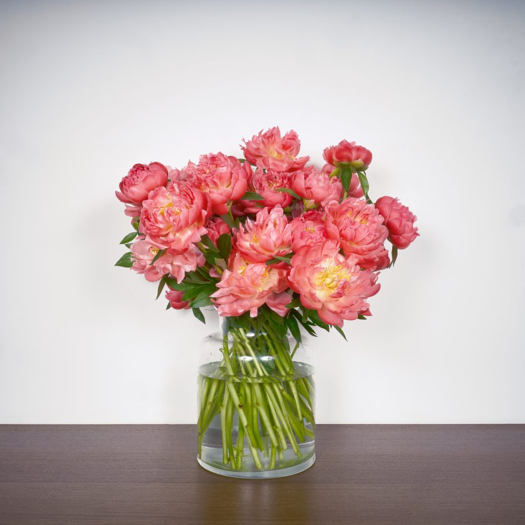Bottes de fleurs de saison : Mémoire de pivoines
