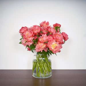 Bottes de fleurs de saison : Mémoire de pivoines