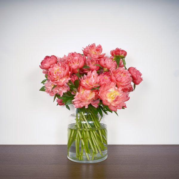 Bottes de fleurs de saison : Mémoire de pivoines