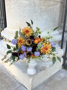 Gerbe Soleil couchant