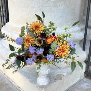 Gerbe Soleil couchant