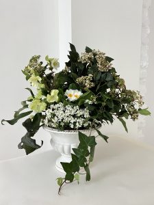 Coupe de plantes Jardin D'Hiver