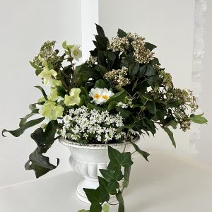 Coupe de plantes Jardin D'Hiver