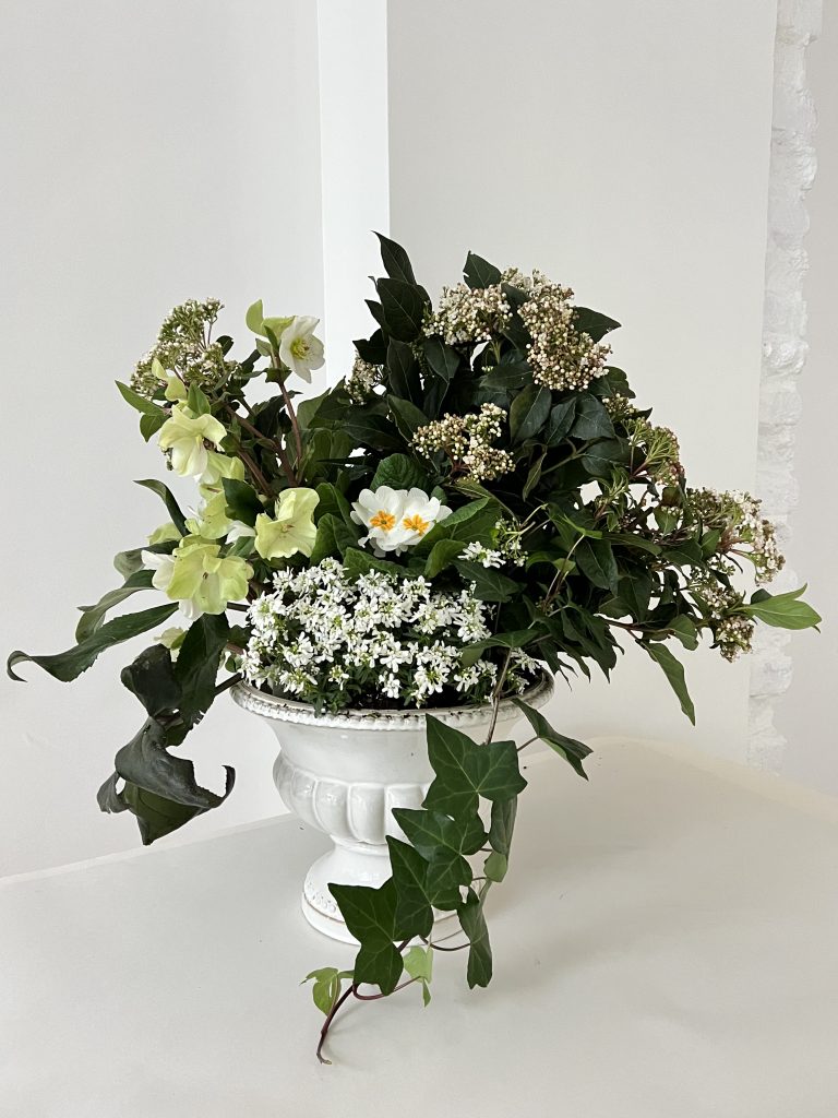 Coupe de plantes Jardin D'Hiver