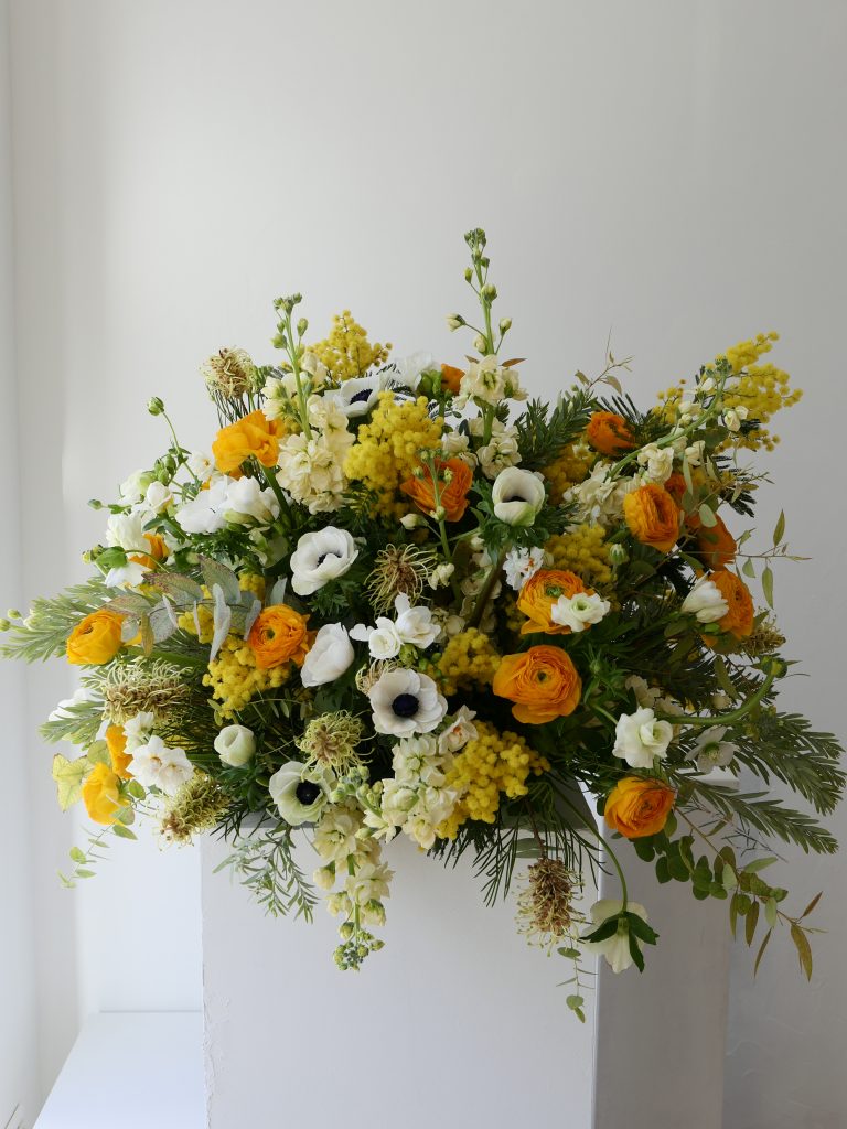 Coussin Lumière du Midi