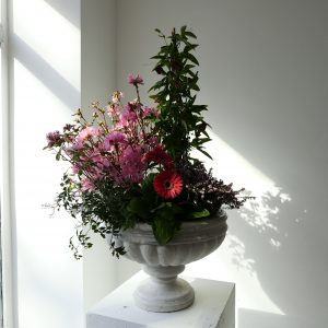 Coupe de plantes Delicate attention