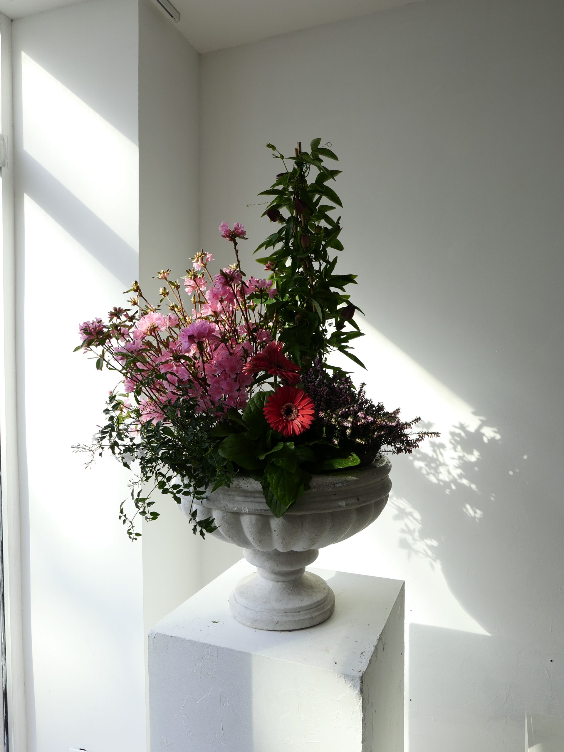 Coupe de plantes Delicate attention